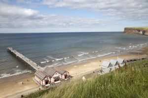 saltburn 2 sm.jpg